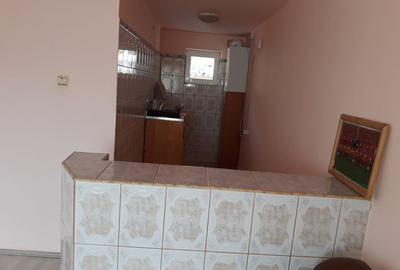 Casă cu 4 camere cu Teren 4500 Mp în Dragodana - 3