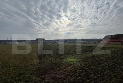 Teren în Vințu de Jos - 2