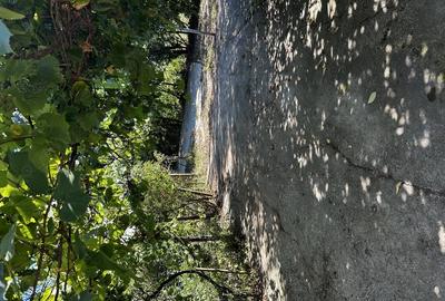 Casă cu 3 camere în Naipu - 6