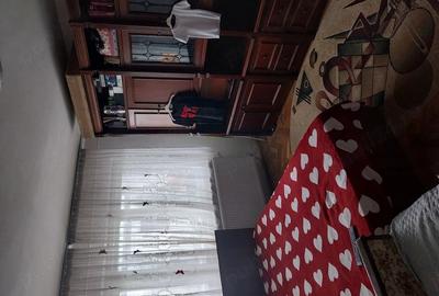 Apartament cu 3 camere decomandat în Ultracentral