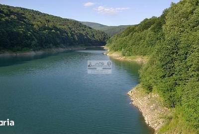 Teren de 391 mp, în Bănești - 6