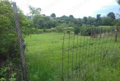 Teren de 2473 mp, în Bălteni - 2