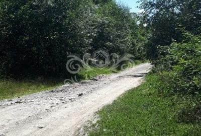 Teren Construcții extravilan de 6500 mp, în Albeștii de Muscel - 9