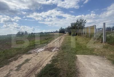 Teren de 1000 mp, în Priseaca