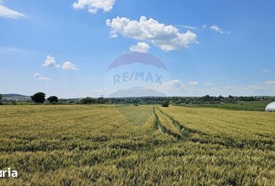 Teren de 15000 mp, în Central - 2
