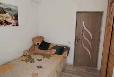 Casă cu Teren 500 Mp în Vidra - 3
