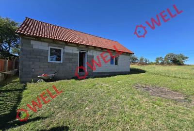 Casă cu 3 camere cu Teren 4033 Mp în Sântionlunca - 3