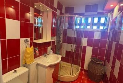 Apartament cu 2 camere în Brazda lui Novac