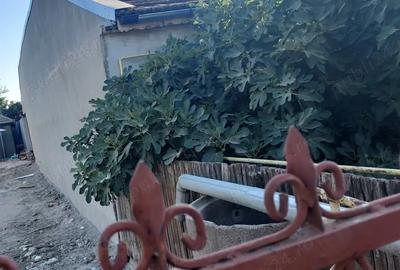 Casă cu 3 camere cu Teren 236 Mp în 23 August - 1