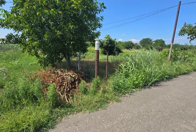 Teren intravilan de 1000 mp, în Petrești