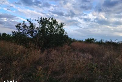 Teren de 22000 mp, în Gălbinași