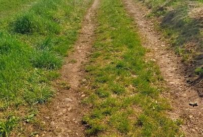 Teren de 3300 mp, în Râciu - 5