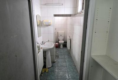 Spațiu industrial, de 500 mp, în Giurgiului - 13