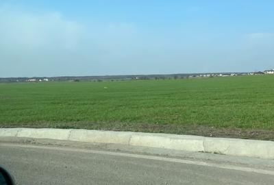 Teren Construcții intravilan de 3700 mp, în Sud - 4