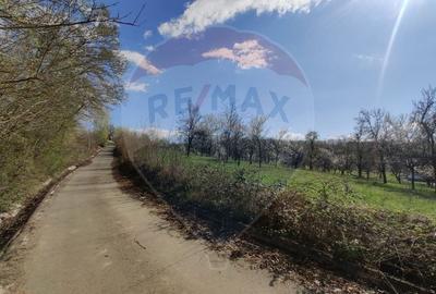 Teren Construcții intravilan de 1646 mp, în Cărbunari - 2