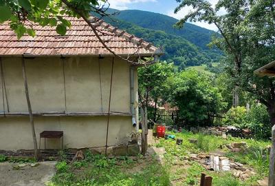 Casă cu Teren 1000 Mp în Central - 1