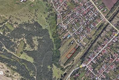 Teren de 3641 mp, în Vadu Pașii - 1