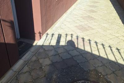 Spațiu comercial, de 50 mp, în Gruia