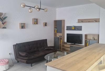 Apartament cu 2 camere decomandat în Parcul Carol - 8