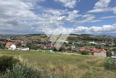 Teren agricol intravilan de 1198 mp, în Șura Mare - 3