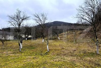 Teren în Stremț - 4
