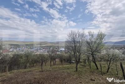 Teren de 2500 mp, în Viișoara - 1