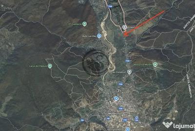 Teren de 26908 mp, în Iedera - 3