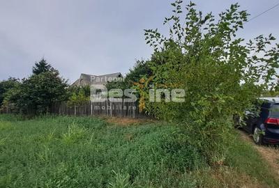 Casă individuală cu 3 camere cu Teren 1715 Mp în Cornești