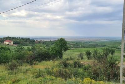 Spațiu comercial, în Tohani - 2