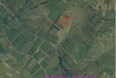 Teren în Borșa - 5