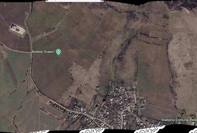 Teren de 165000 mp, în Pleașa - 3