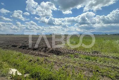 Teren Construcții intravilan de 9000 mp, în Industrial Vest - 3