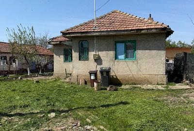 Casă cu Teren 2000 Mp în Gura Vadului - 4