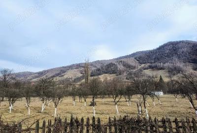 Teren de 2286 mp, în Costești - 1