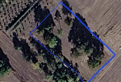 Teren de 1260 mp, în Peregu Mic