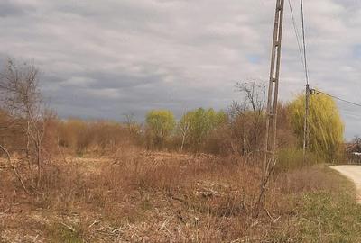 Teren de 2000 mp, în Sânnicolau Român - 2