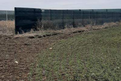 Teren Construcții intravilan de 5000 mp, în Lazu - 2