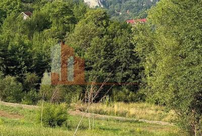 Teren de 1000 mp, în Bran