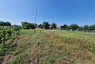 Casă individuală cu 3 camere cu Teren 4721 Mp în Dănești - 13