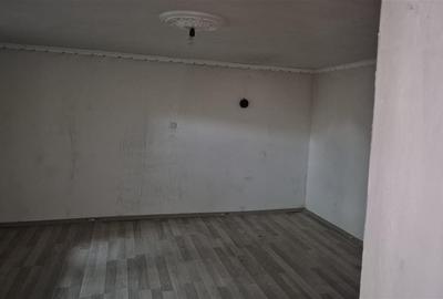 Casă individuală cu 4 camere cu Teren 1993 Mp în Cheresig - 3
