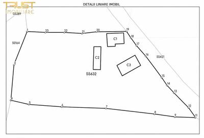 Casă cu 4 camere cu Teren 3135 Mp în Dângău Mare