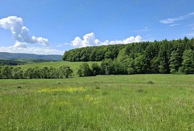 Teren de 670 mp, în Vlădeni - 2