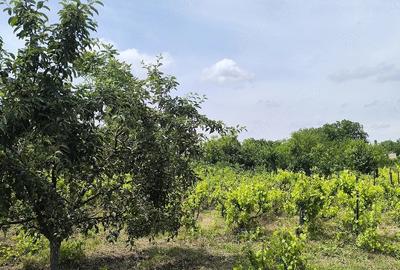 Teren de 1200 mp, în Valea Bisericii - 4