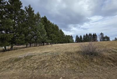 Teren de 4290 mp, în Gărâna - 5