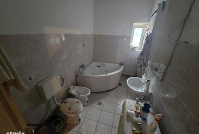 Casă cu 4 camere în Arpașu de Jos - 6