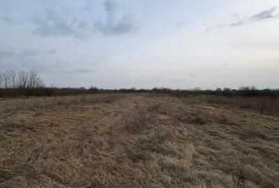 Teren în Merișor - 2