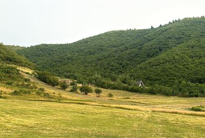 Teren agricol extravilan de 3408 mp, în Gura Râului - 1