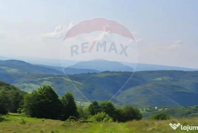Teren de 128948 mp, în Munteni - 15