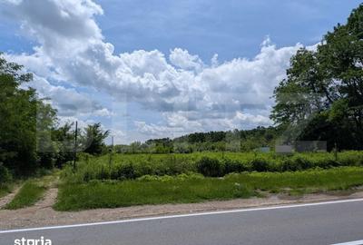 Teren de 12700 mp, în Priseaca