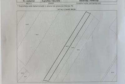 Teren de 10000 mp, în Căteasca - 3